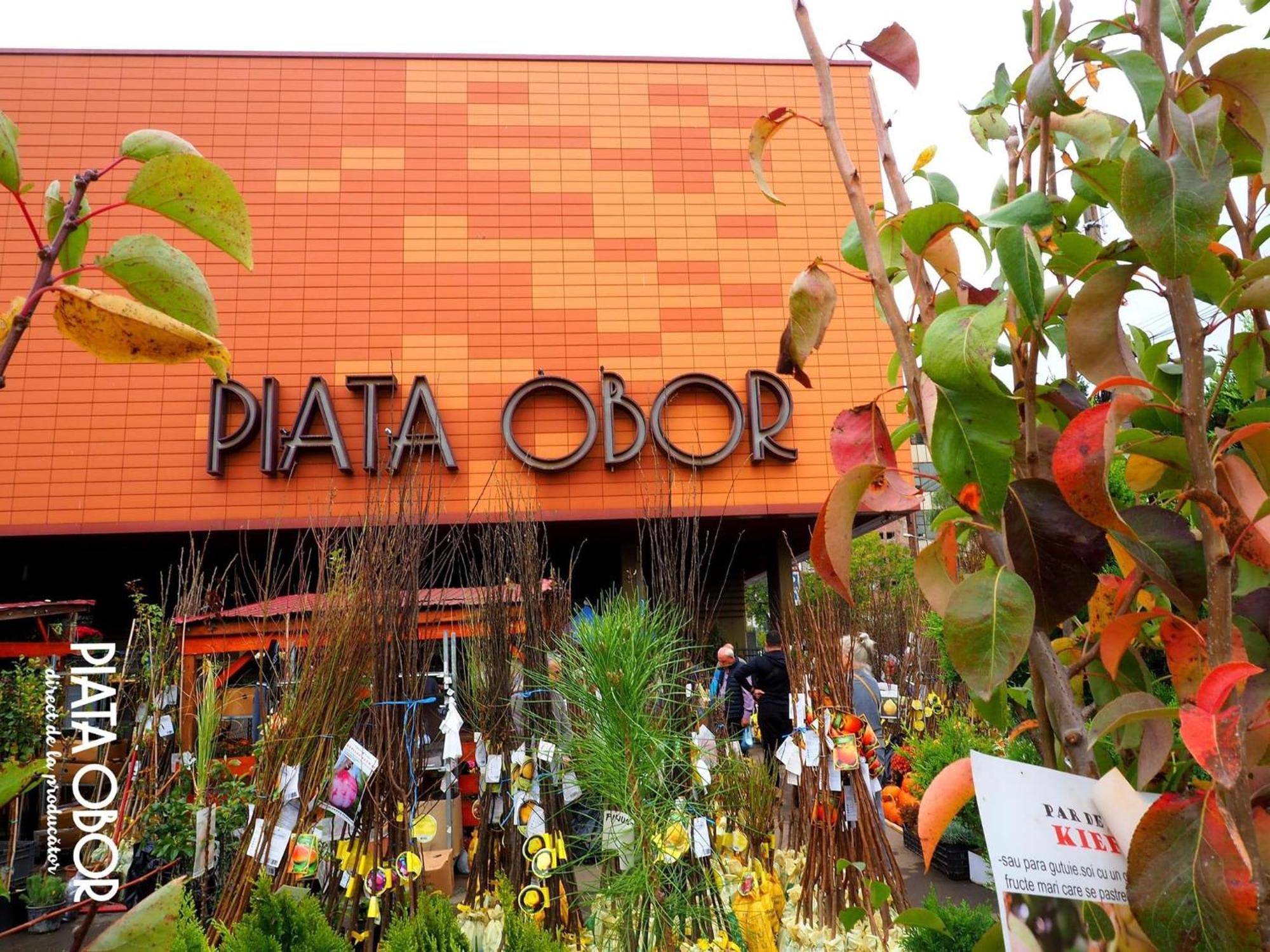 Cozy City Retreat, Obor Market & Metro Bucharest Exterior photo